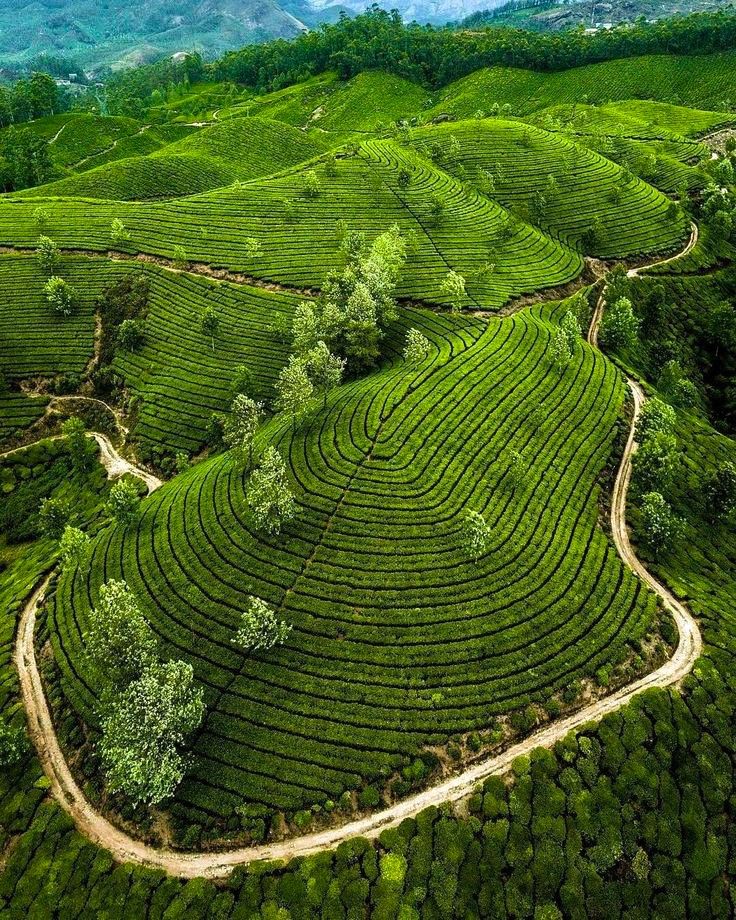 Kerala