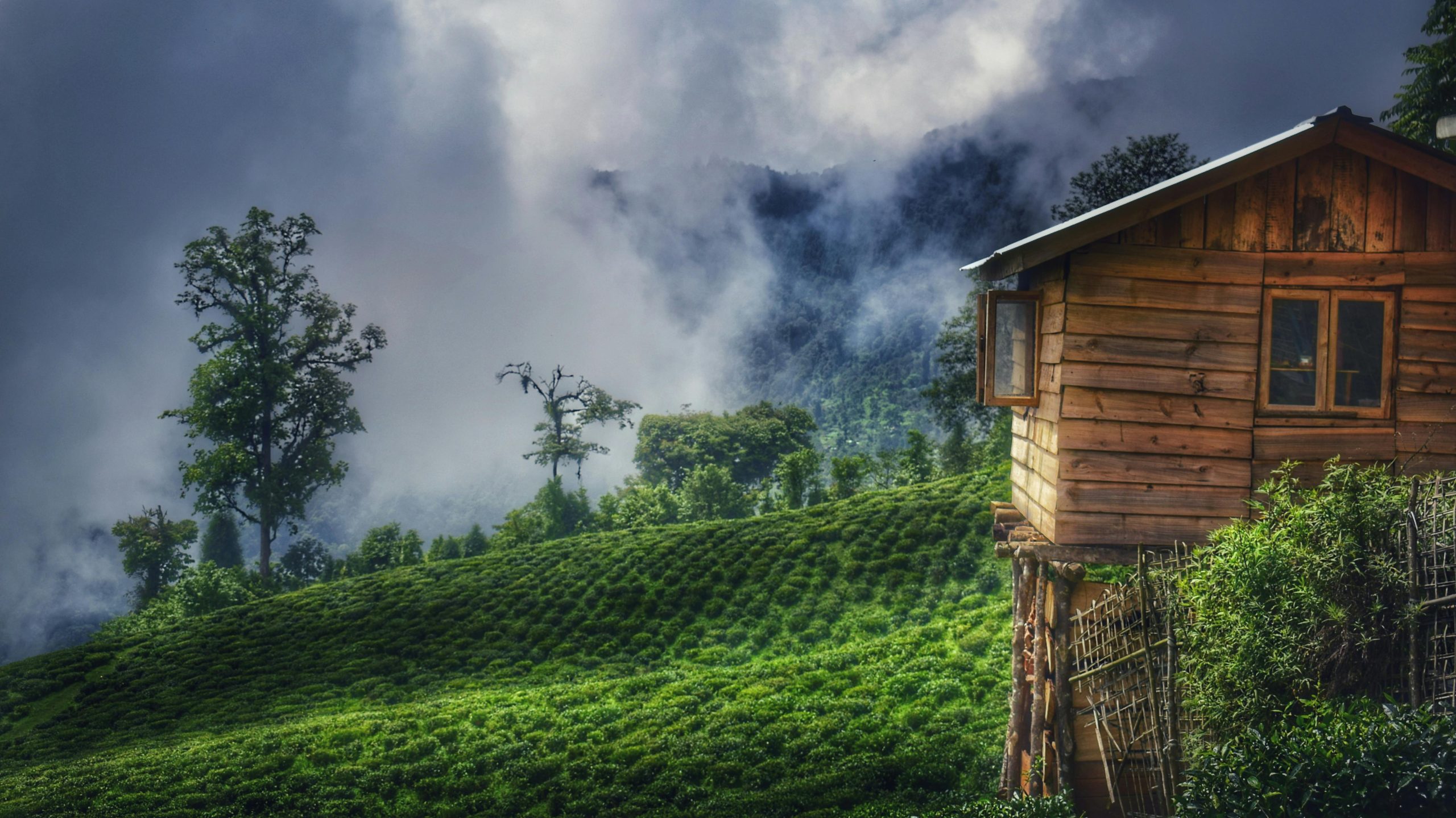 Darjeeling